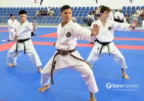 Site Sem Peneira (2)