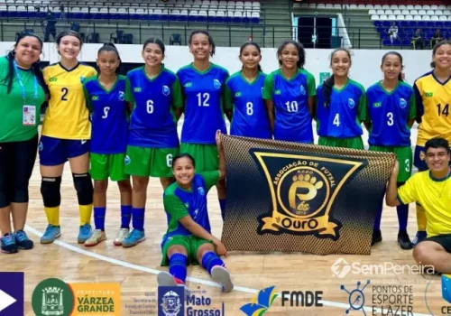 Site Sem Peneira (5)